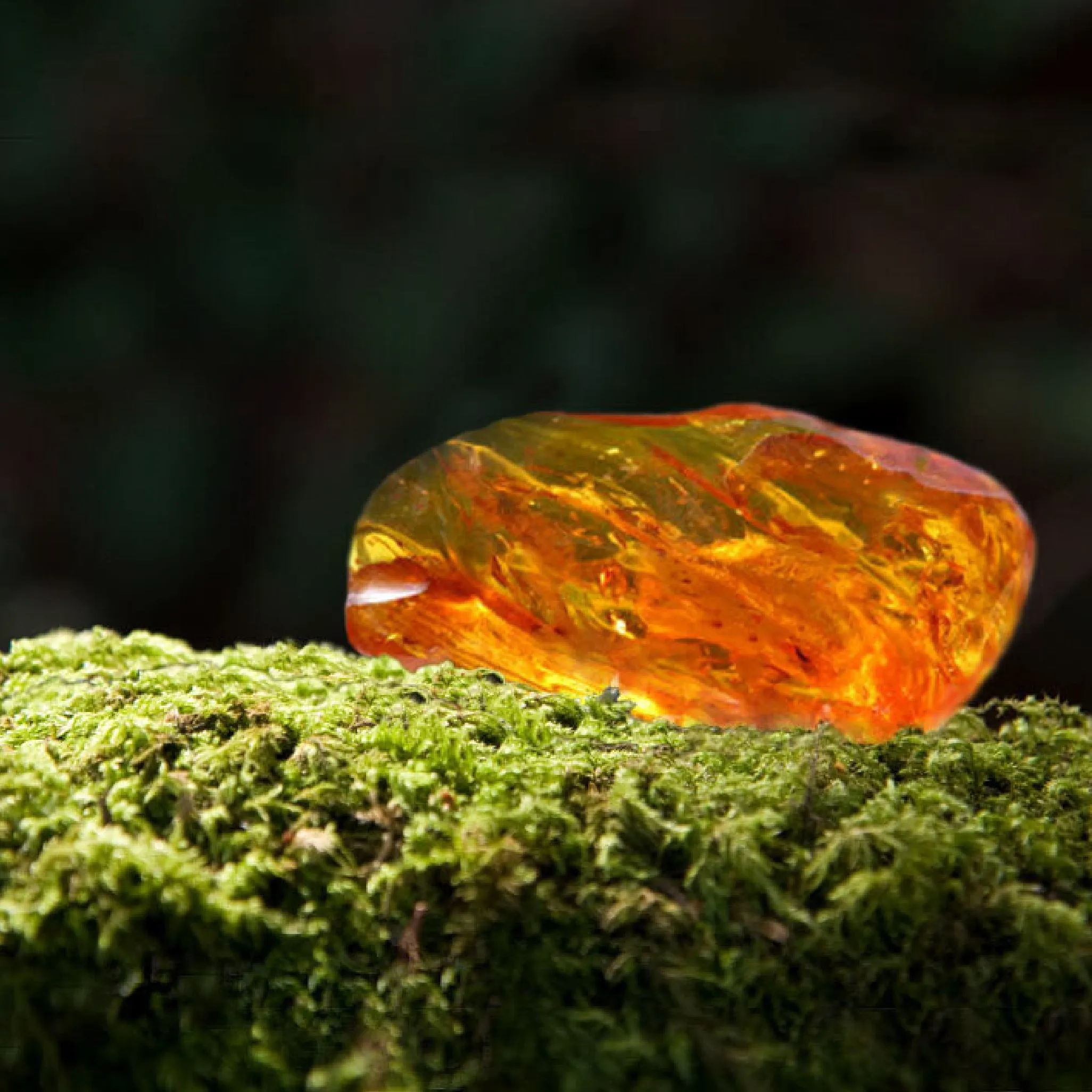 Amber and Moss Crystal Candle