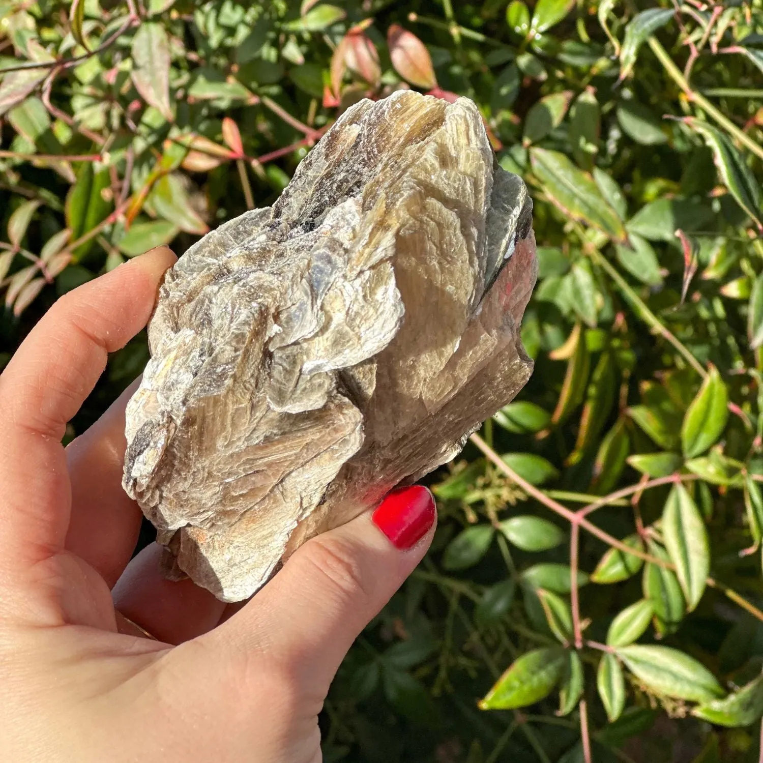 Golden Lepidolite with Black Tourmaline Crystal