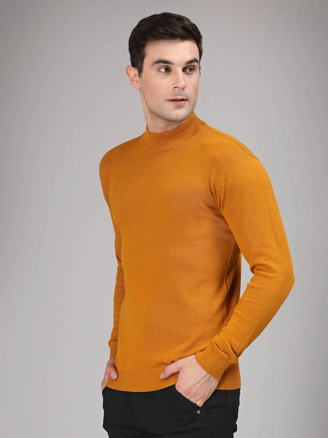 Style Quotient Men Solid Brown Knitted Regular Sweater