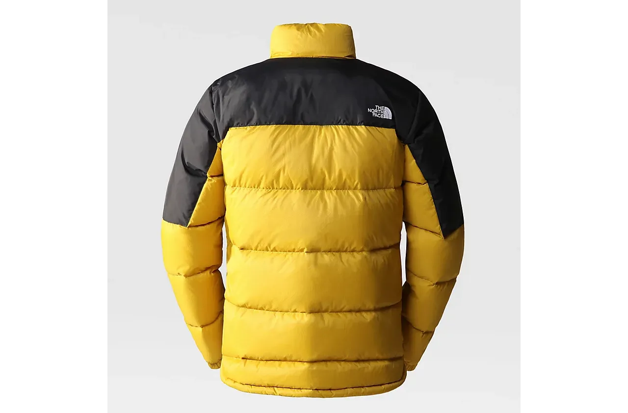 The North Face Diablo men's down jacket NF0A4M9J81U yellow gold black 